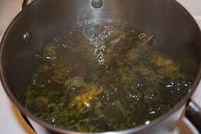 treatment of varicose veins with decoctions